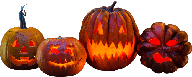 pumpkins